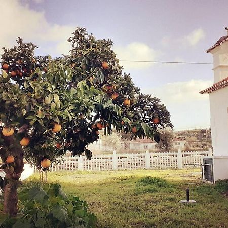 Casa Dos Coracoes - Turismo Regenerativo Lägenhet Beirã Exteriör bild