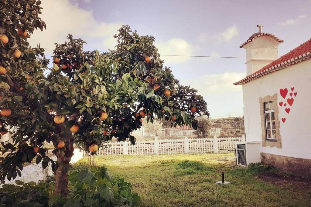 Casa Dos Coracoes - Turismo Regenerativo Lägenhet Beirã Exteriör bild
